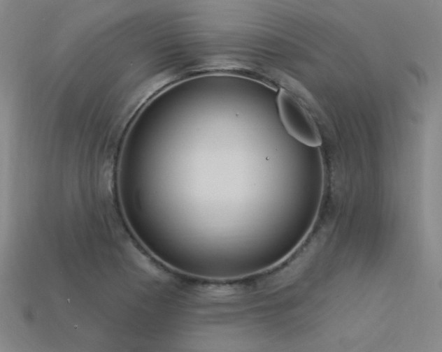X0000114121177200910051505