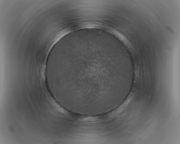 X0000114121178200910051505