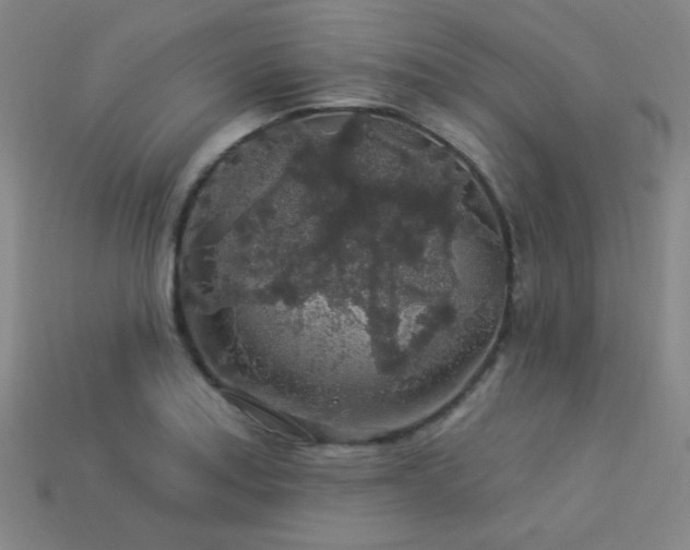 X0000114121179200910051505