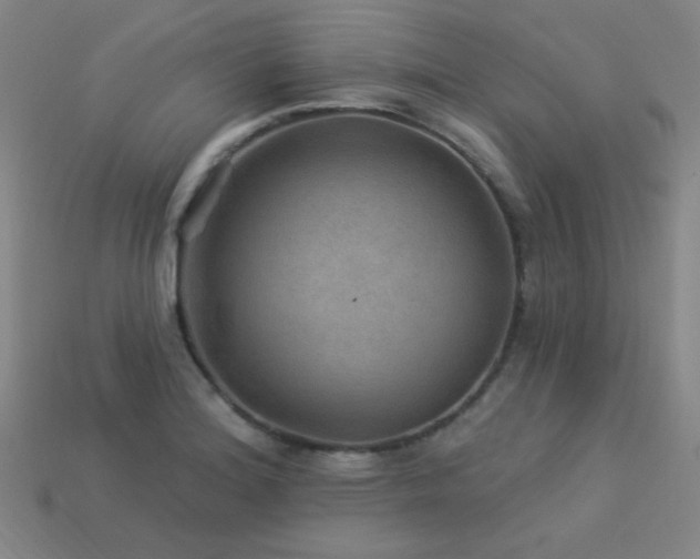 X0000114121180200910051505