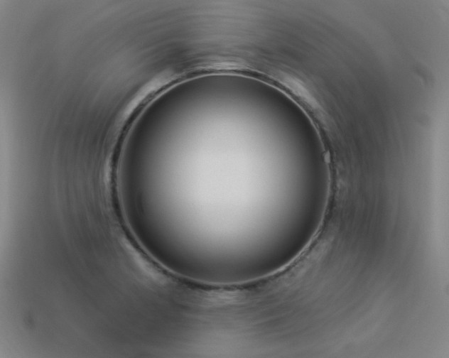 X0000114121181200910051505