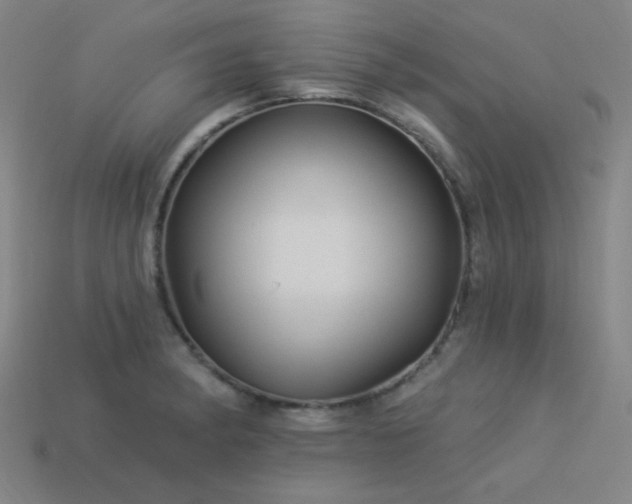 X0000114121182200910051505