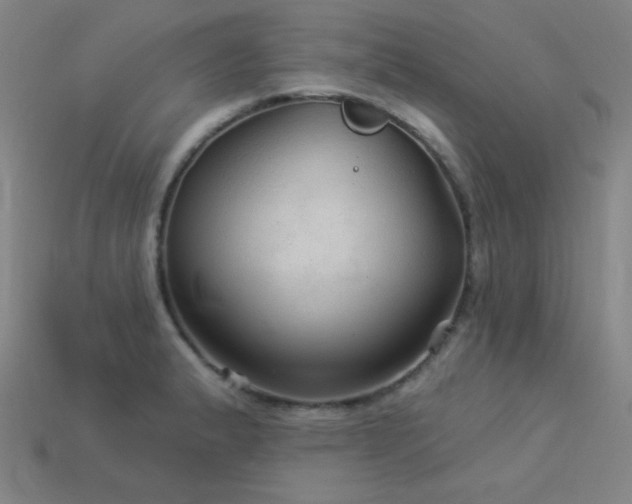X0000114121183200910051505