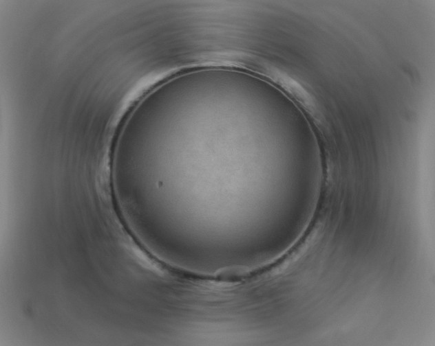 X0000114121184200910051505