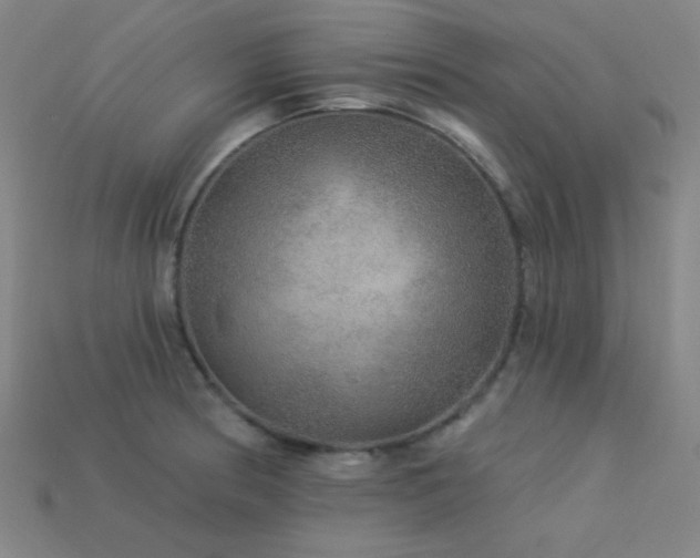 X0000114121186200910051505