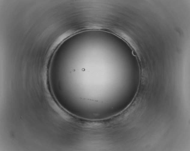 X0000114121187200910051505