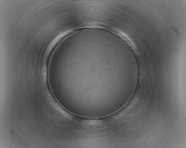 X0000114121188200910051505
