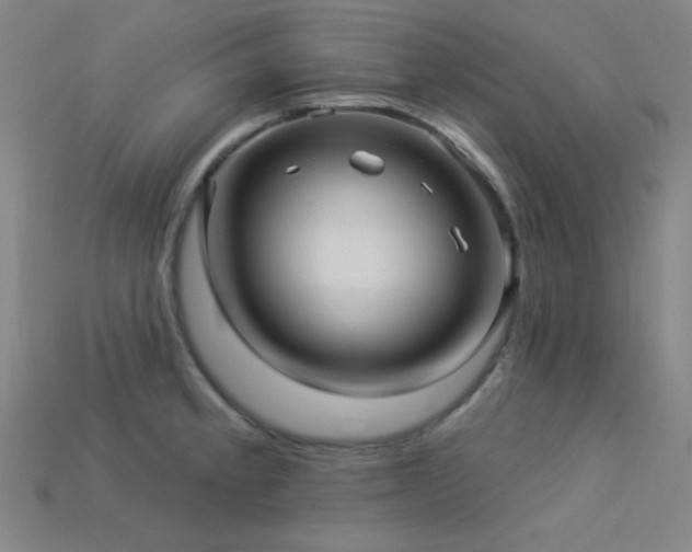 X0000114121189200910051505