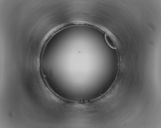 X0000114121191200910051505