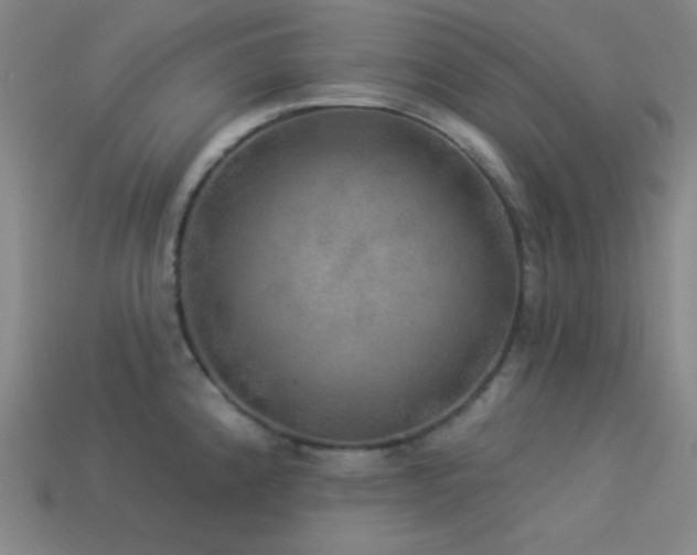 X0000114121192200910051505