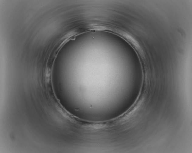 X0000114121193200910051505
