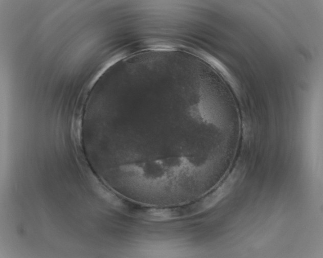 X0000114121194200910051505