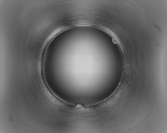 X0000114121195200910051505