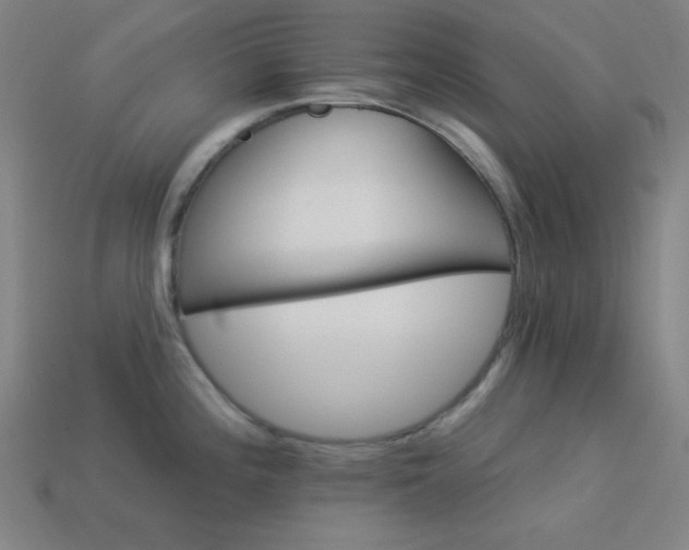 X0000114121196200910051504