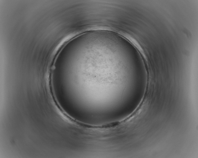X0000114121197200910051504