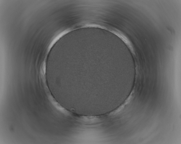X0000114121198200910051504