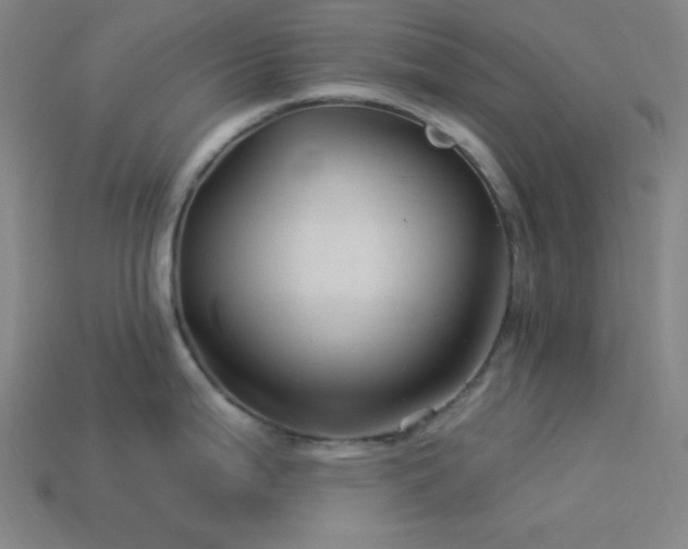 X0000114121199200910051504