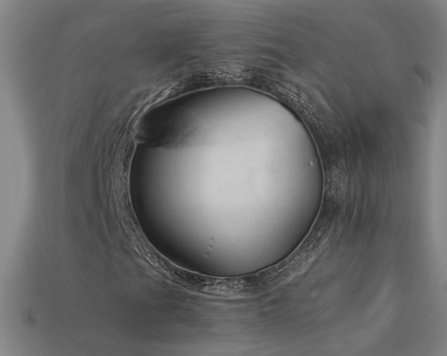 X0000114121201200910051504