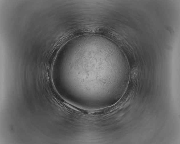 X0000114121202200910051504