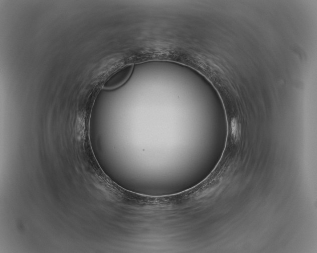 X0000114121203200910051504