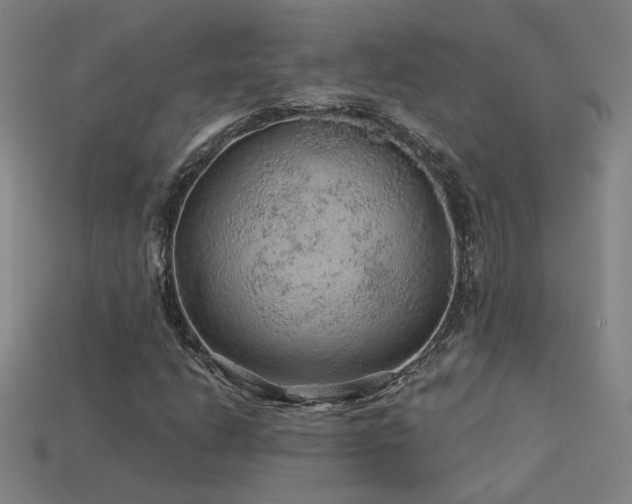 X0000114121206200910051504