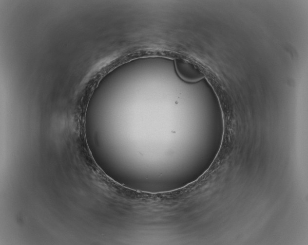 X0000114121207200910051504