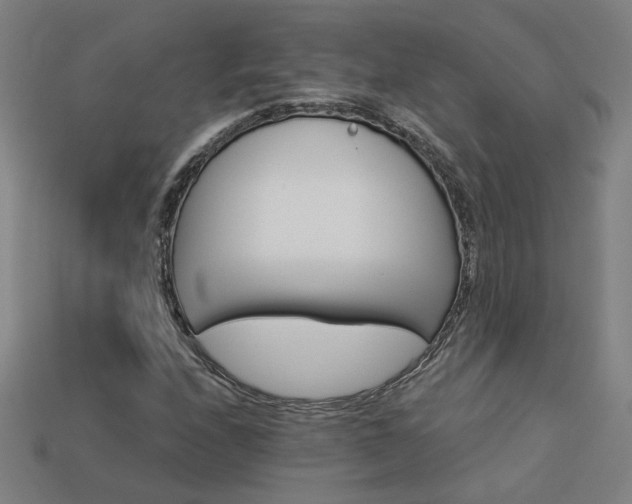 X0000114121208200910051504