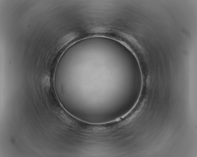 X0000114121209200910051504