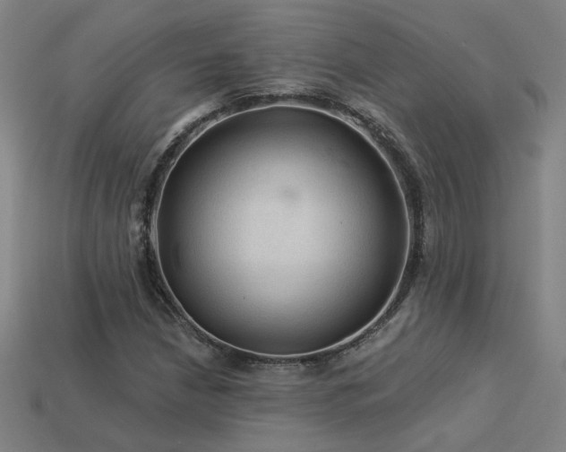 X0000114121210200910051504