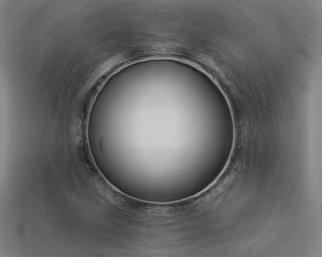 X0000114121211200910051504