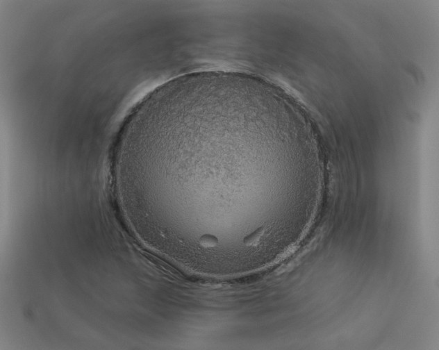 X0000114121215200910051504