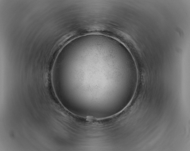 X0000114121217200910051504