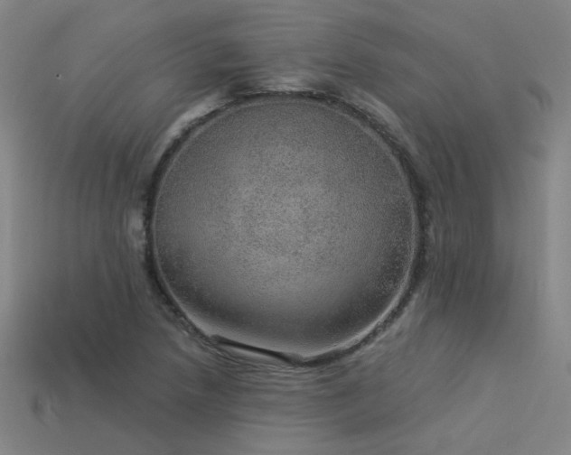 X0000114121218200910051504