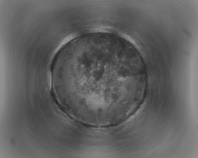 X0000114121219200910051504