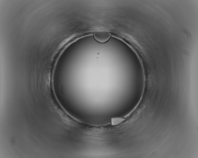 X0000114121220200910051504