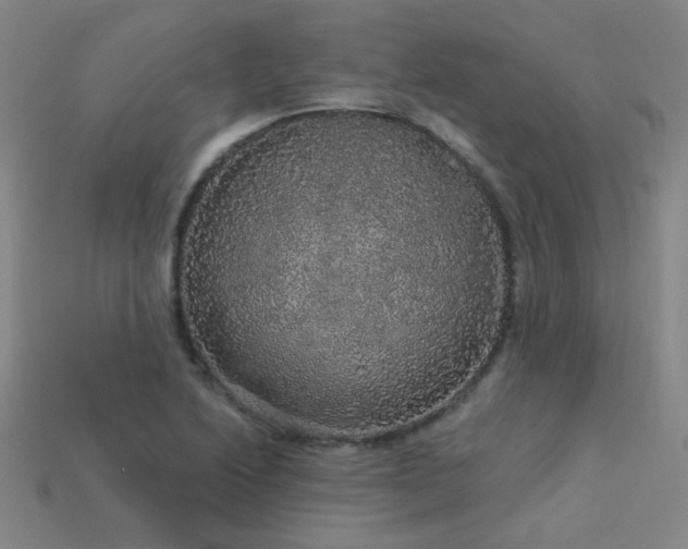 X0000114121222200910051504
