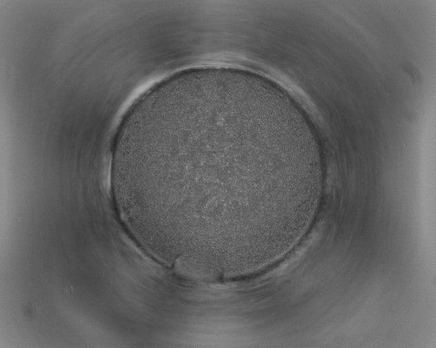 X0000114121224200910051504