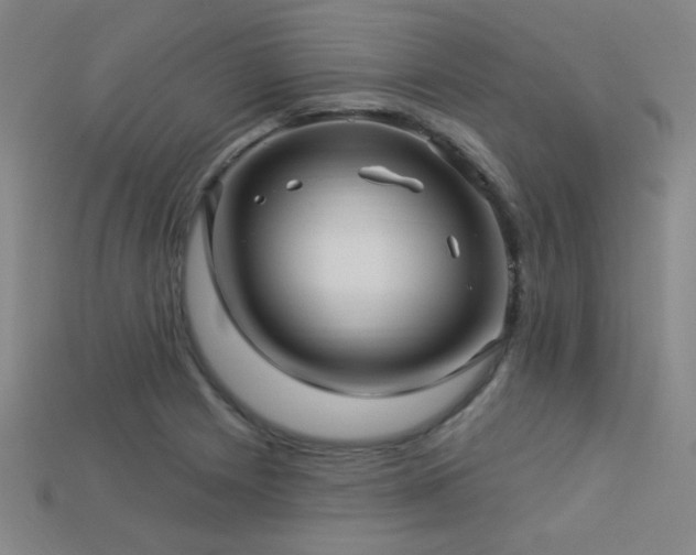X0000114121225200910051504