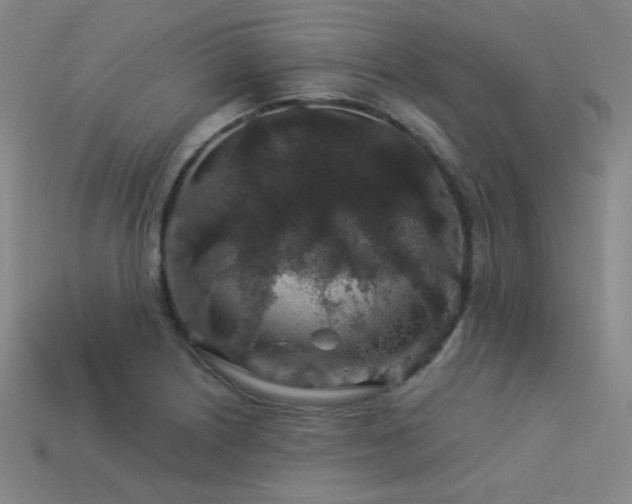 X0000114121226200910051504