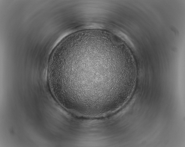 X0000114121228200910051504