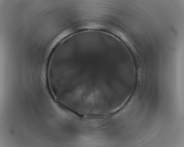X0000114121229200910051504
