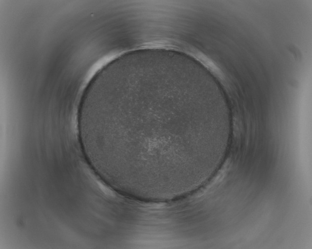 X0000114121230200910051504