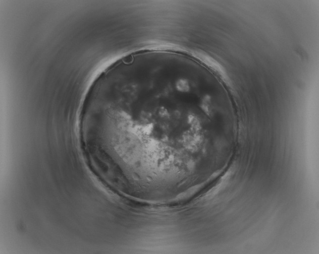 X0000114121231200910051504
