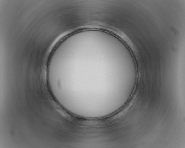 X0000114121232200910051504