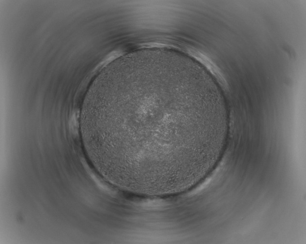 X0000114121233200910051504