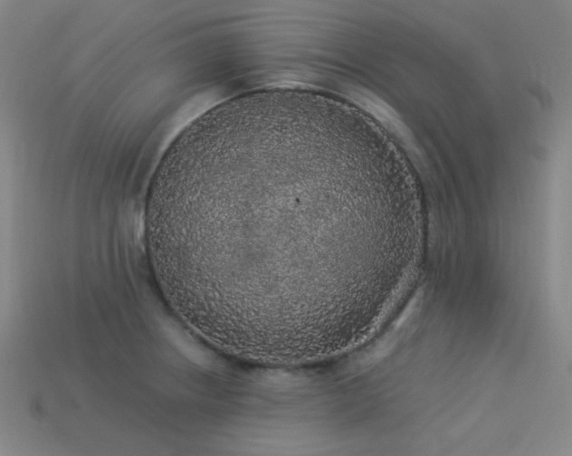 X0000114121234200910051504