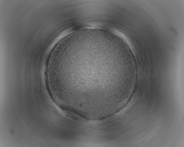 X0000114121235200910051504