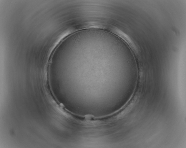 X0000114121236200910051504