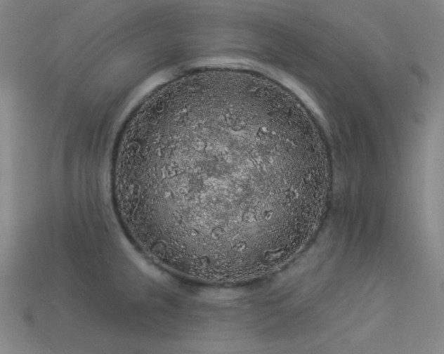 X0000114121237200910051504
