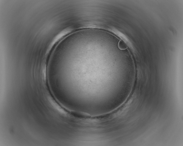 X0000114121238200910051504